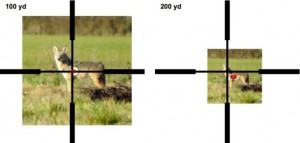 Figure 6. Sight picture needed to get center of impact on coyote vital zone at 300 and 400 yards. The red ellipse indicates where about half of the shots will hit with a 10 mph wind from the left and a wind-estimation error of 2 mph. Picture credit: US Fish and Wildlife Service