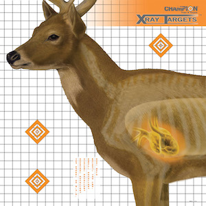 Figure 1. This excellent X-RayTM deer target shows us where the top of the heart is and a glance at the 1” hash marks tells us that a 10” vital zone is possibly optimistic for this 190 lb deer. The author is indebted to Champion Targets (www.championtarget.com) for giving permission to use this life-size target with vital organs displayed along with dimension lines.